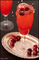 Cranberry Sparkler Mocktail