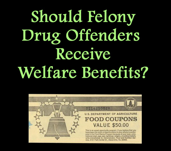 Drug Offender Welfare Benefits