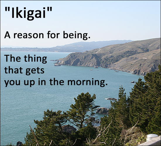 Ikigai - Discovering Your Passion and Purpose - Inspire Malibu