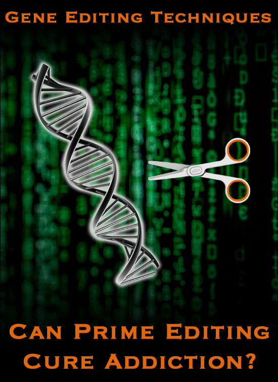 Gene Editing Techniques: Can Prime Editing Cure Addiction