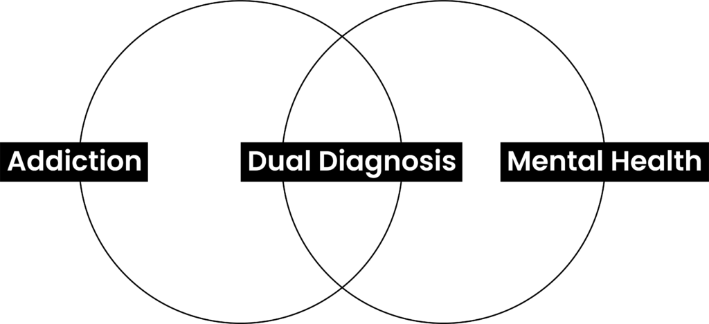 Dual Diagnosis | Visually Explained Chart