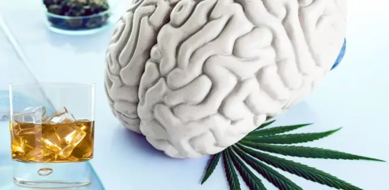 Substance Use Affects the Brain